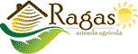 RAGAS